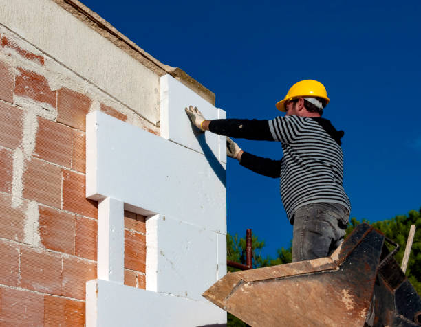 Best Eco-Friendly Insulation in Hackleburg, AL