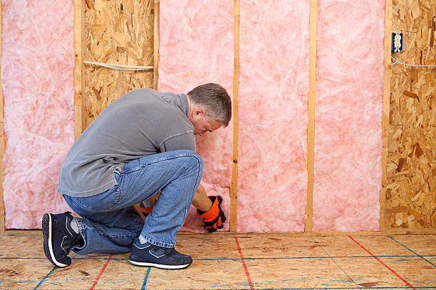 Best Insulation Maintenance and Repair in Hackleburg, AL